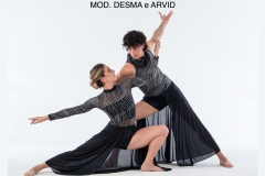 MOD.-DESMA-e-ARVID