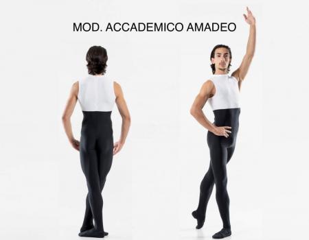 MOD._ACCADEMICO_AMADEO
