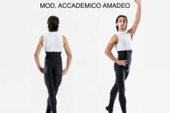MOD._ACCADEMICO_AMADEO